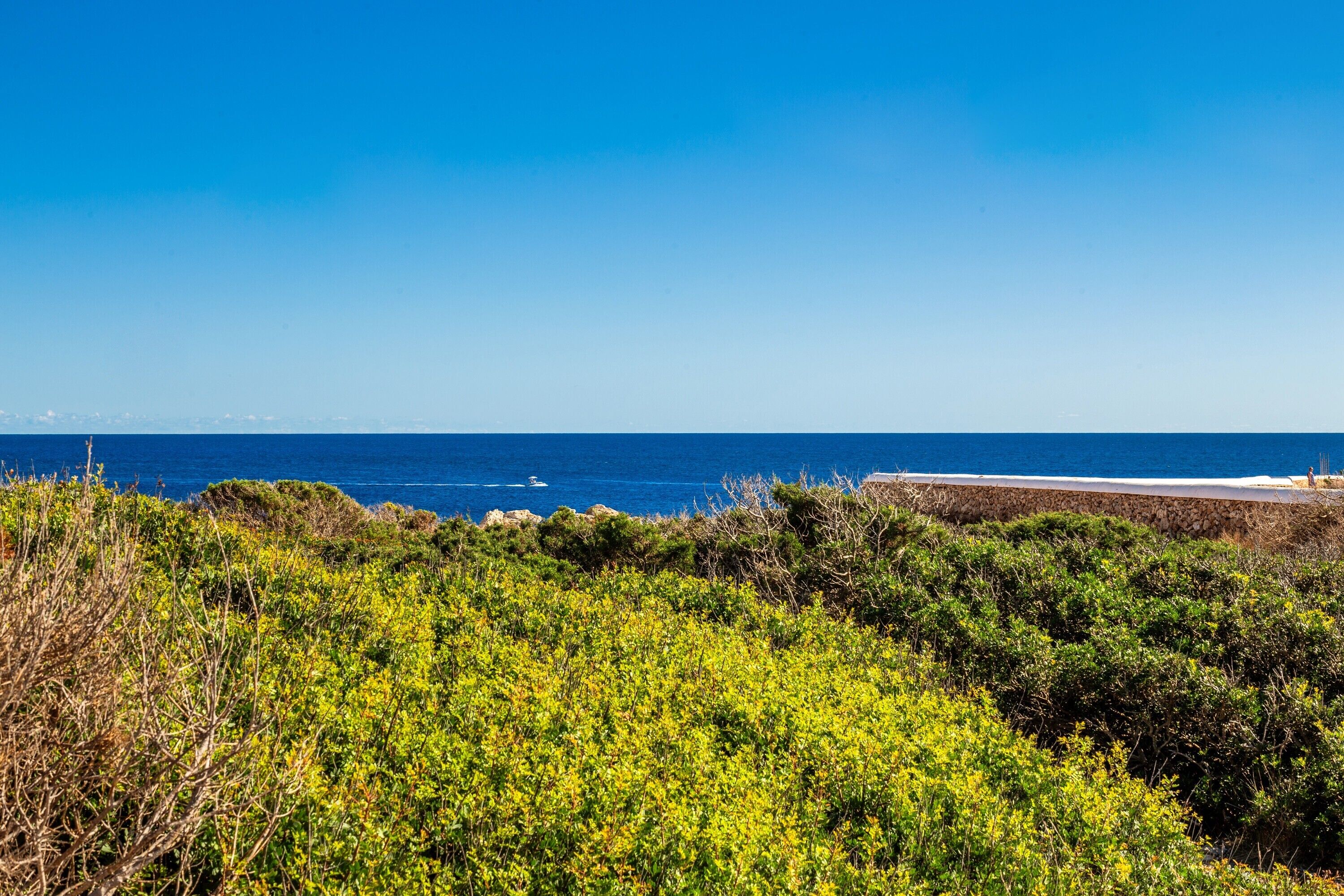 A coastal landscape with dense greenery, a clear blue sky, and a distant view of the sea.