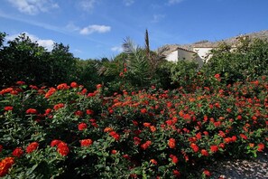 المنطقة المحيطة بالمنشأة