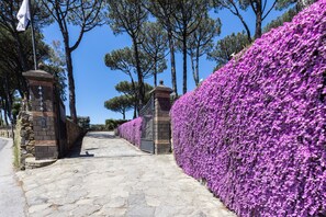 Parco della struttura
