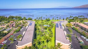 Un hotel con piscina central, rodeado de palmeras y vista al océano.
