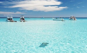 A clear turquoise sea with boats and a stingray visible.