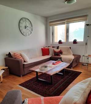 Smart-tv, dvd-afspiller, bøger, videobibliotek