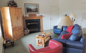TV, fireplace, DVD player, books