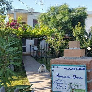 Terrain de l’hébergement 