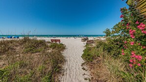 A sandy beach path leading to the ocean with beach chairs and umbrellas.