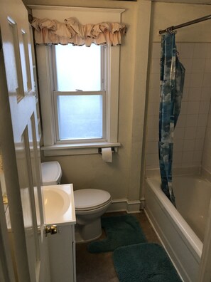 Combined shower/bathtub, hair dryer, soap, toilet paper