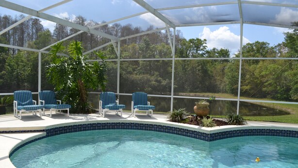 Una piscina cubierta con sillas azules y vistas al bosque circundante.