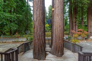 Property grounds - Stunning Contemporary Home, a River Penthouse on Russian River, like No Other!!  (Monte Rio)