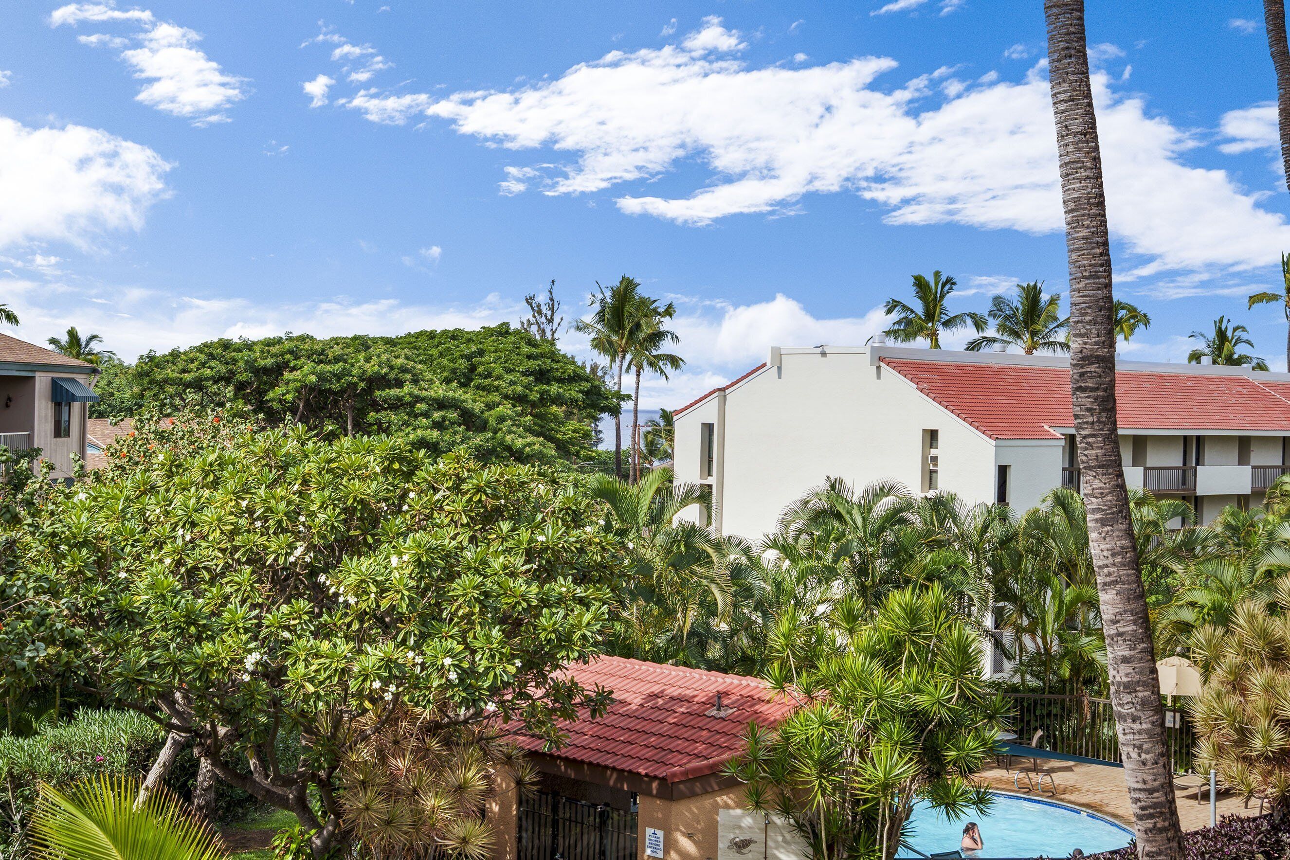 A pool area with palm trees, a red-roofed building, and a large tree in the foreground.
