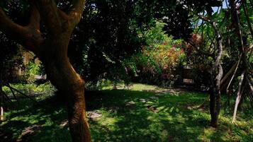 Cottage | Kawasan hartanah