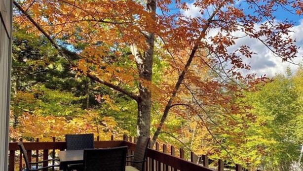 A wooden deck with a table and chairs, surrounded by trees with autumn foliage.