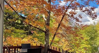 Spacious 3 level townhouse just minutes from the base of Stratton Mountain!
