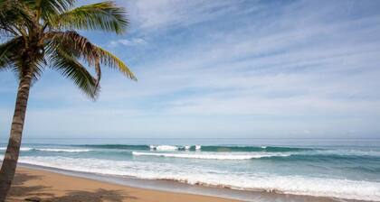 Landing View 304 with beautiful roof top terrace