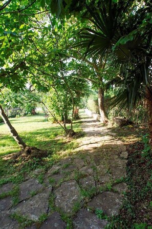 المنطقة المحيطة بالمنشأة