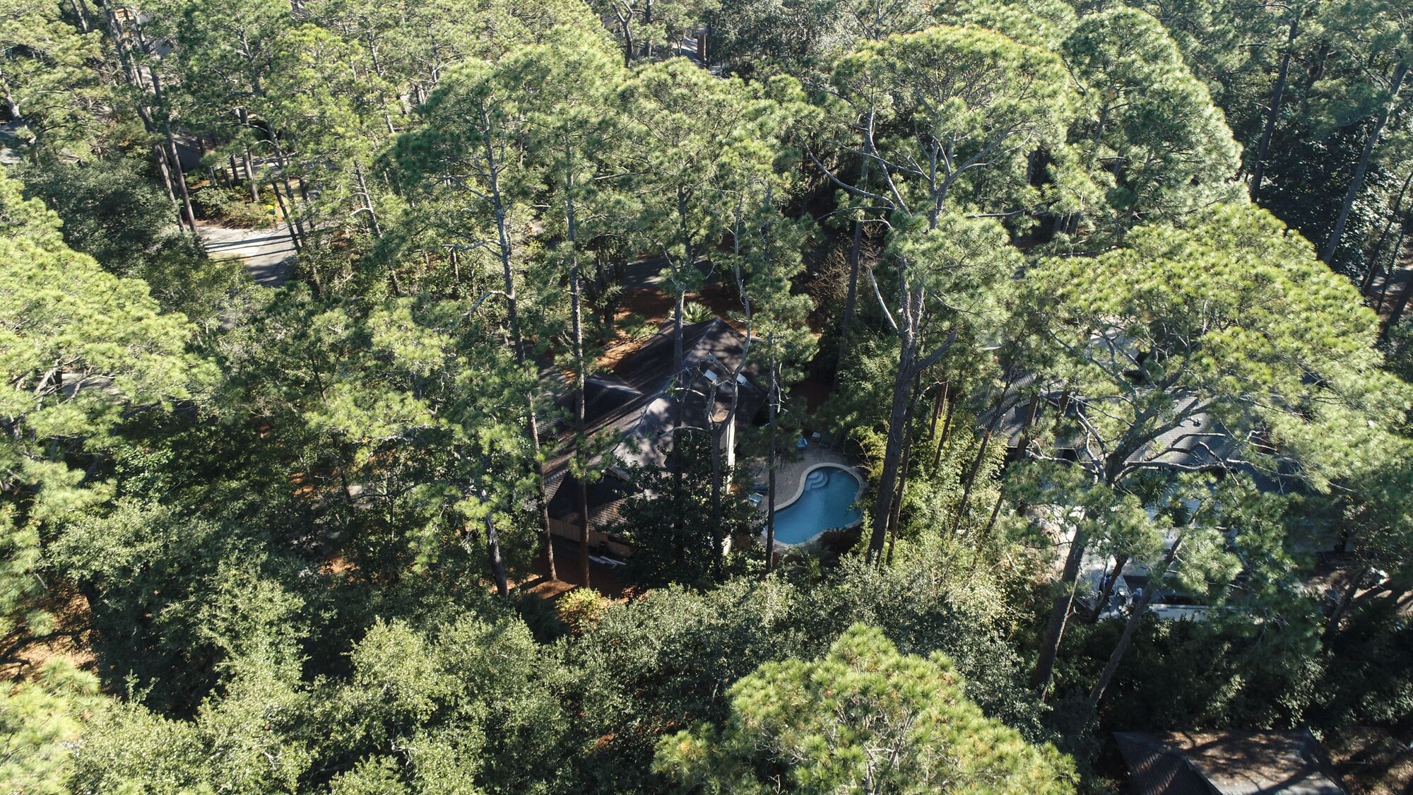 Vue aérienne d’une propriété entourée d’une forêt dense, avec une piscine et un petit bâtiment.
