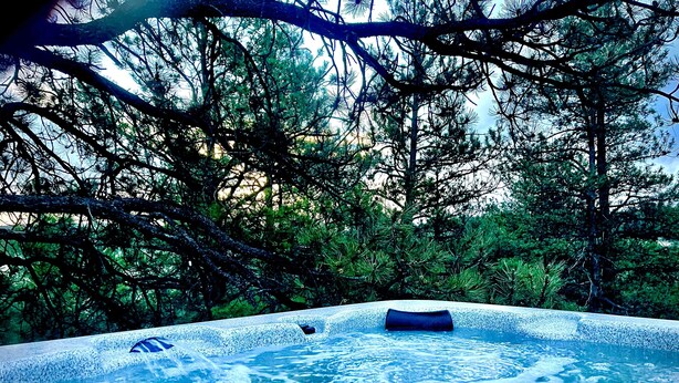 A hot tub surrounded by dense trees.
