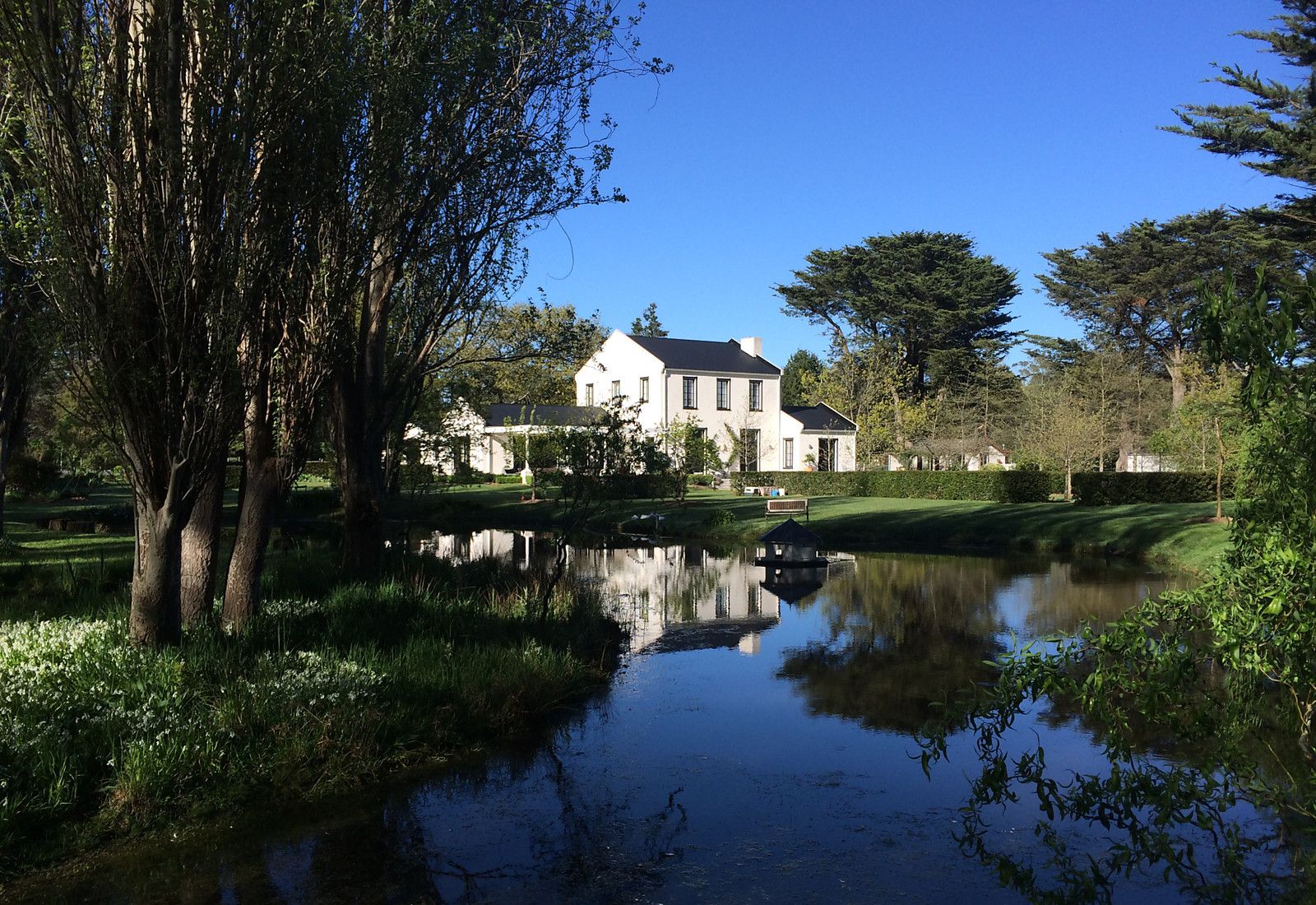 A large white house with a pond in front, surrounded by trees and greenery.