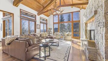 Télévision à écran plat, cheminée, jeux vidéo, lecteur de DVD