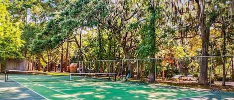 Campo esportivo