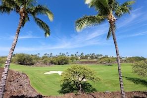 A golf course with palm trees, a clear sky, and distant houses.