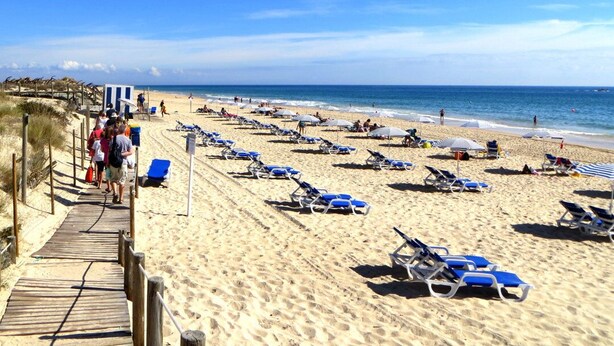 Een strand met rijen ligbedden en een houten looppad naar het water.