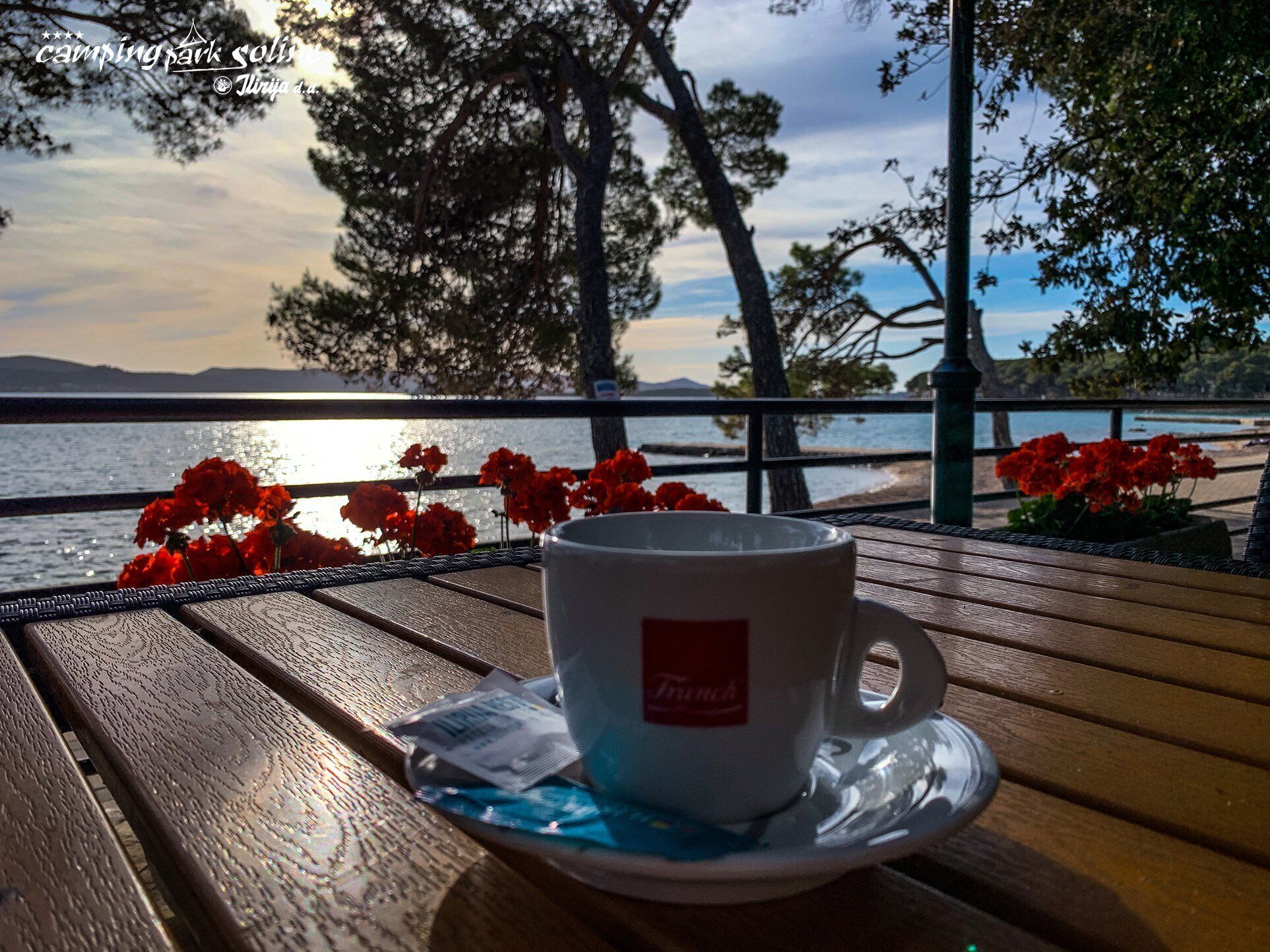 A table with a cup and saucer, a bottle, and red flowers.