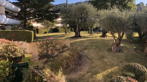 A landscaped garden with various trees, a palm tree, and a hedge. - Rare gem, rooftop villa, 150m2 living space on park, janitor air-conditioning, pisc, pkg, (Cannes)