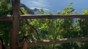 Une pergola en bois, couverte de plantes grimpantes, qui offre une vue sur la côte.