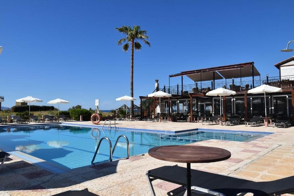 A swimming pool with lounge chairs and umbrellas, a palm tree, and a covered seating area.