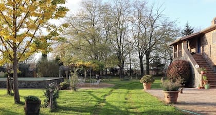 ?? ???????? ?????? ????? ?? ?????