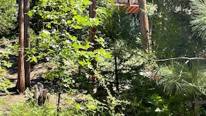 A cabin surrounded by tall trees and dense foliage.