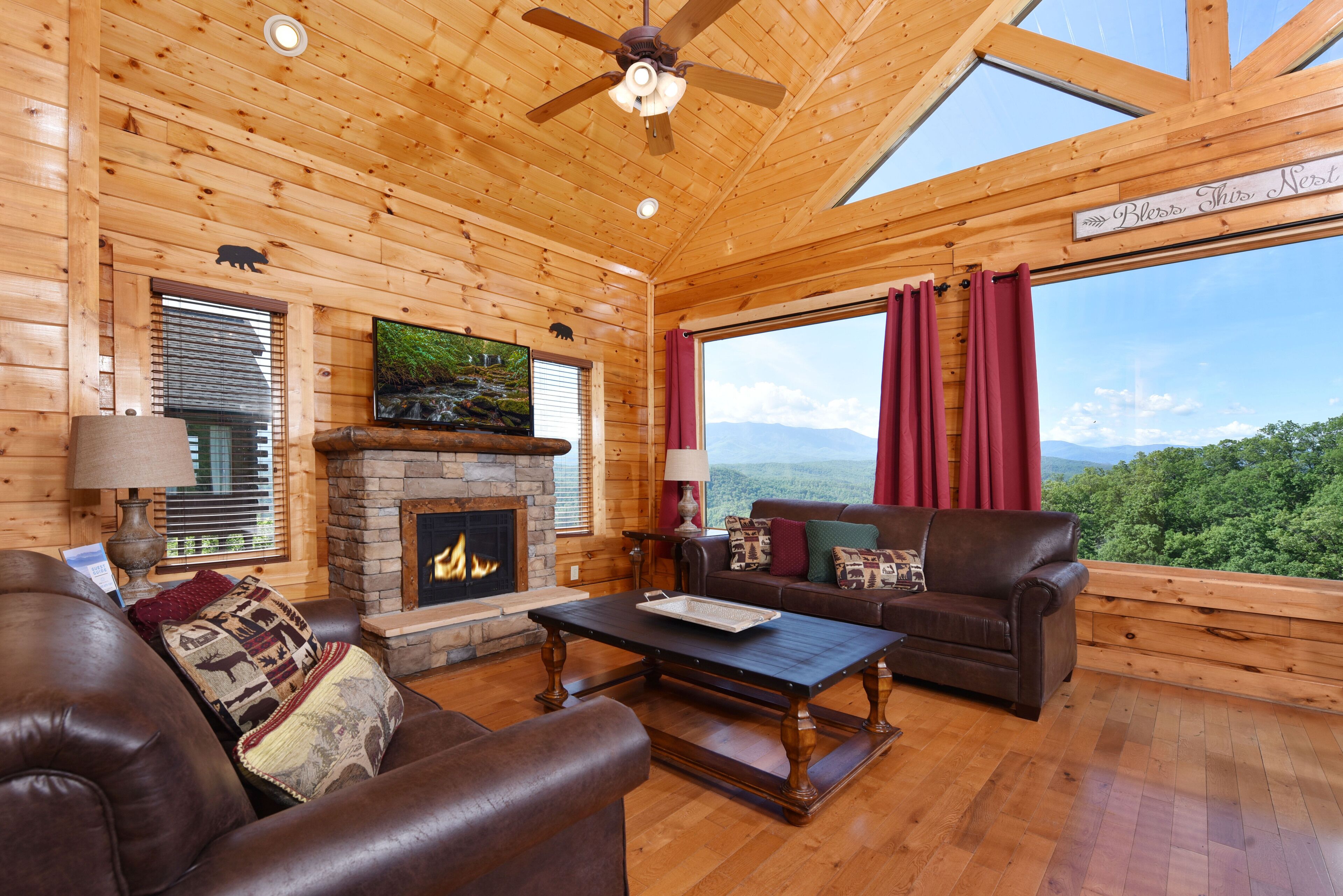 TV, video games, DVD player