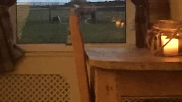 Cottage | View from property