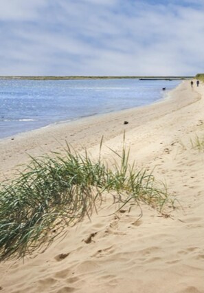 A sandy beach with grass in the foreground and a calm sea in the background.