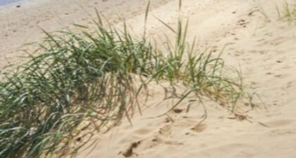 Sea View Cottage Lake District Coast, Haverigg