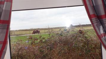 Cottage | Property grounds