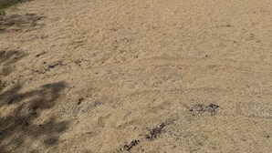 A sandy beach with a lake, a metal fence, and houses in the background.