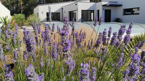 A modern building with a flat roof, large windows, and a garden with purple flowers. - CONTEMPORARY VILLA HEATED POOL CLOSE TO BEACH AND FOREST (Saint-Jean-de-Monts)