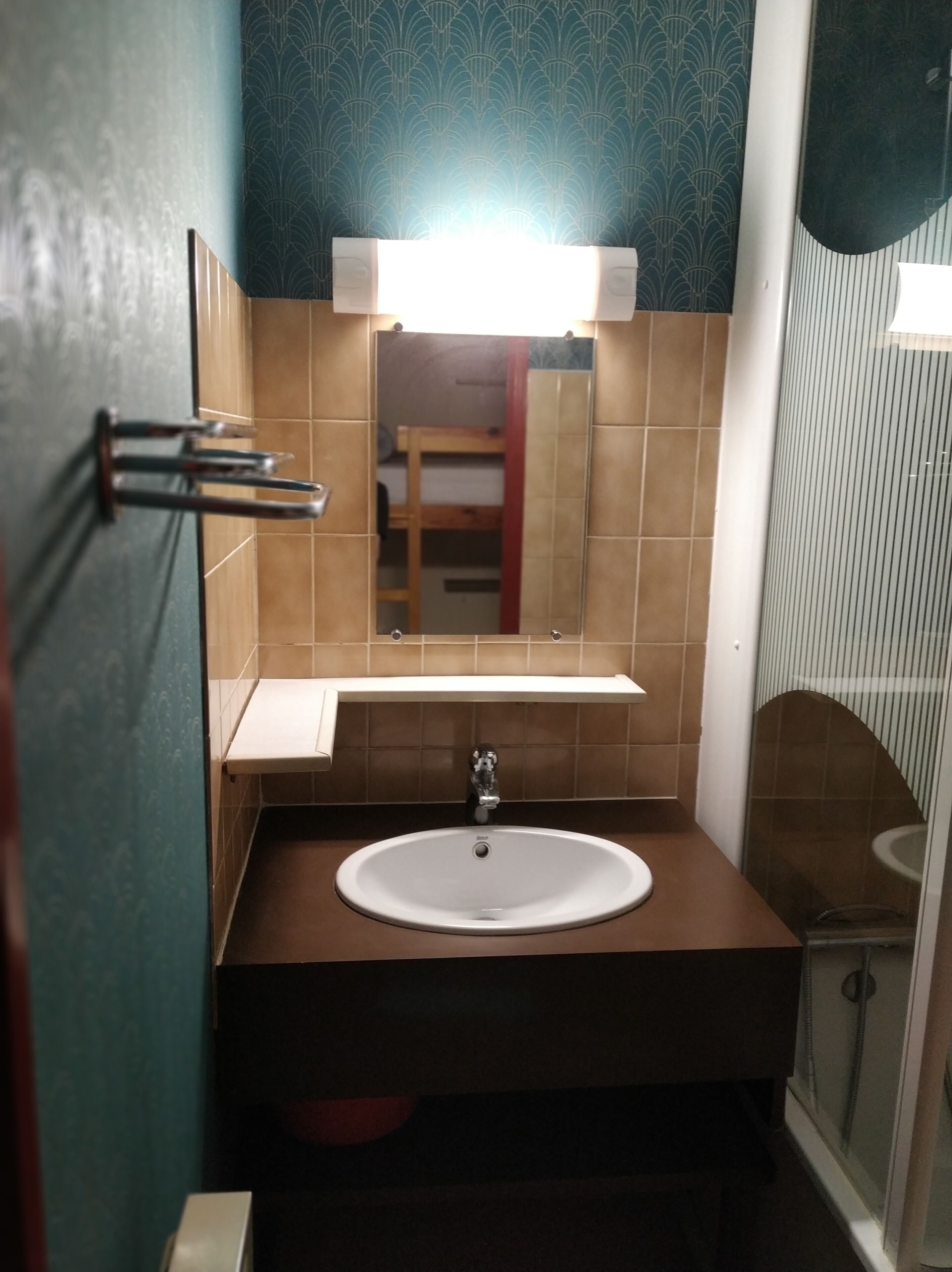 Une salle de bain équipée d’un lavabo, d’un miroir, d’un porte-serviettes et d’une douche.