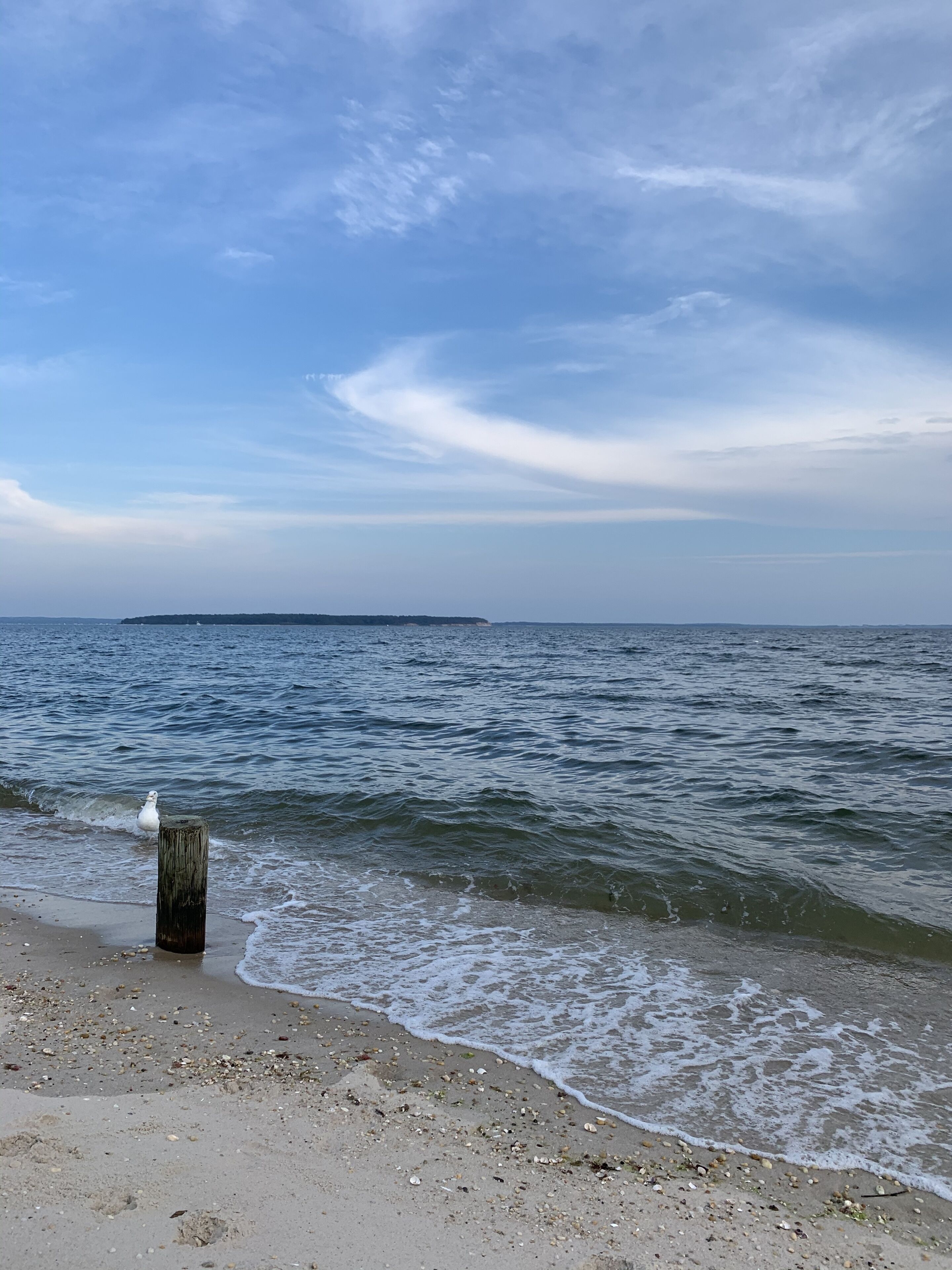 Beach nearby, sun loungers, beach towels