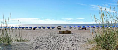 Tæt på stranden