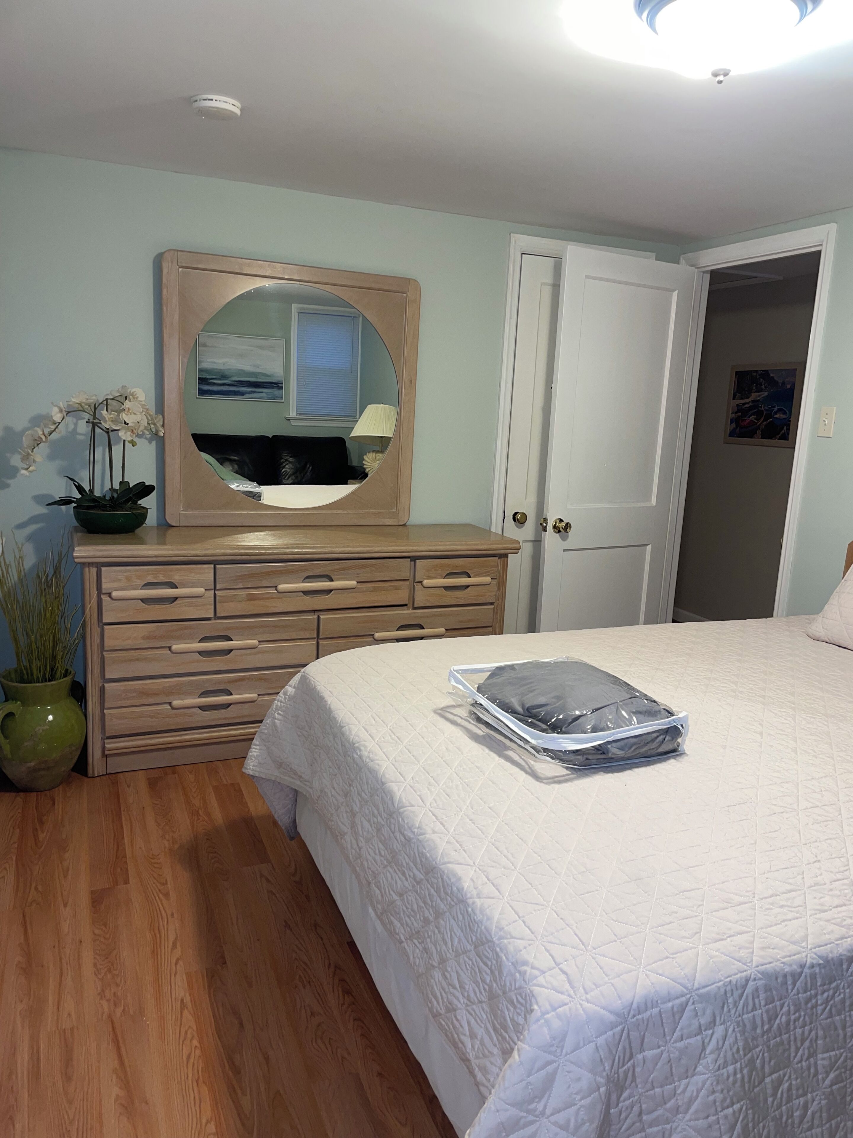 Een slaapkamer met een bed, een ladekast, een spiegel, een potplant en een deur.