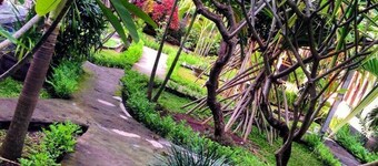 Kirana Homestay - Breeze Bungalow