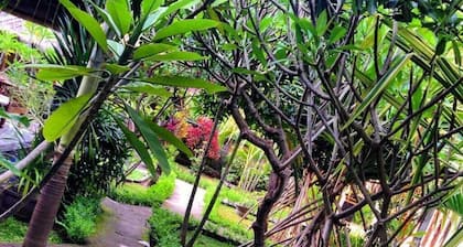 Kirana Homestay - Breeze Bungalow