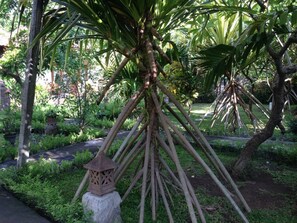 Property grounds - Kirana Homestay - Breeze Bungalow (Karangasem)