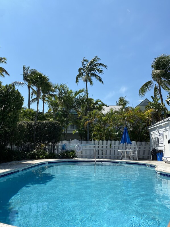 Una piscina al aire libre, una piscina climatizada