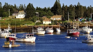 A harbor with multiple boats docked, surrounded by houses and dense forest.