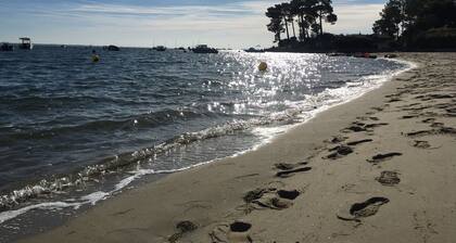 Vacation Home Résidence Les Pins*** Lacanau Océan