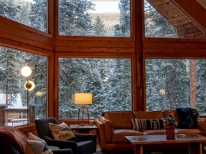 Smart TV, fireplace, books, stereo