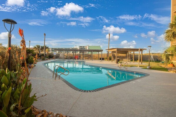 Una piscina rectangular con borde de baldosas, rodeada por una valla de madera y palmeras.